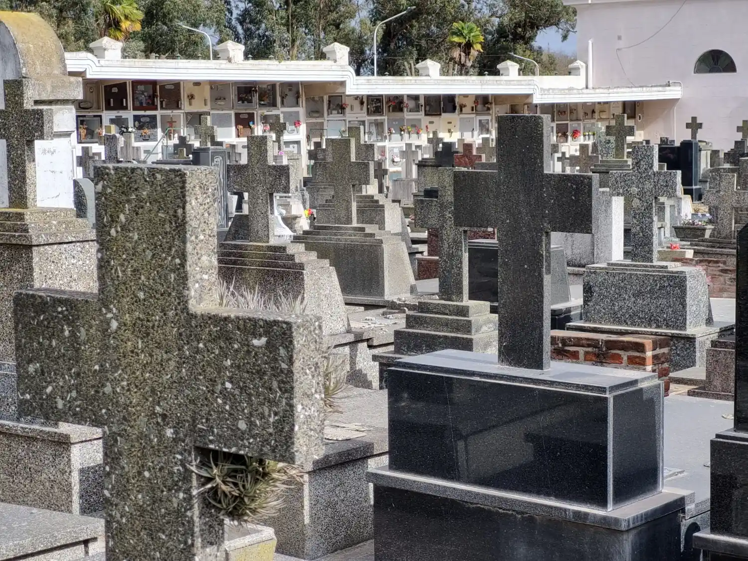 Cementerio Tandil (1)