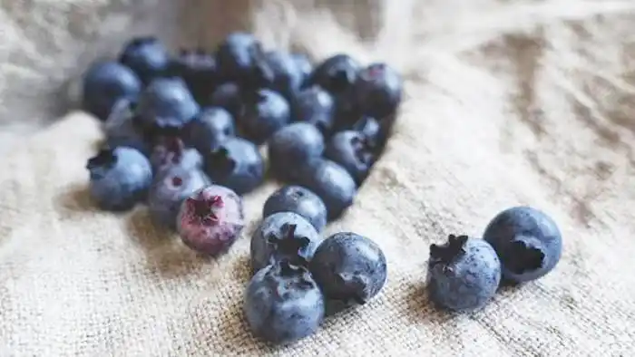 Qué son los alimentos antioxidantes y por qué debes incluirlos en tu dieta