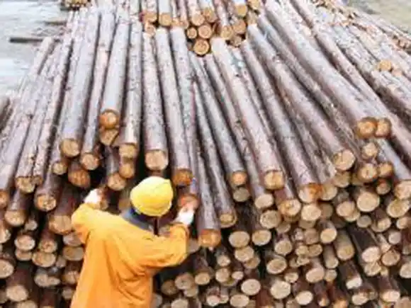 La industria de la madera, en crisis: la actividad se derrumbó 40 % en el primer bimestre