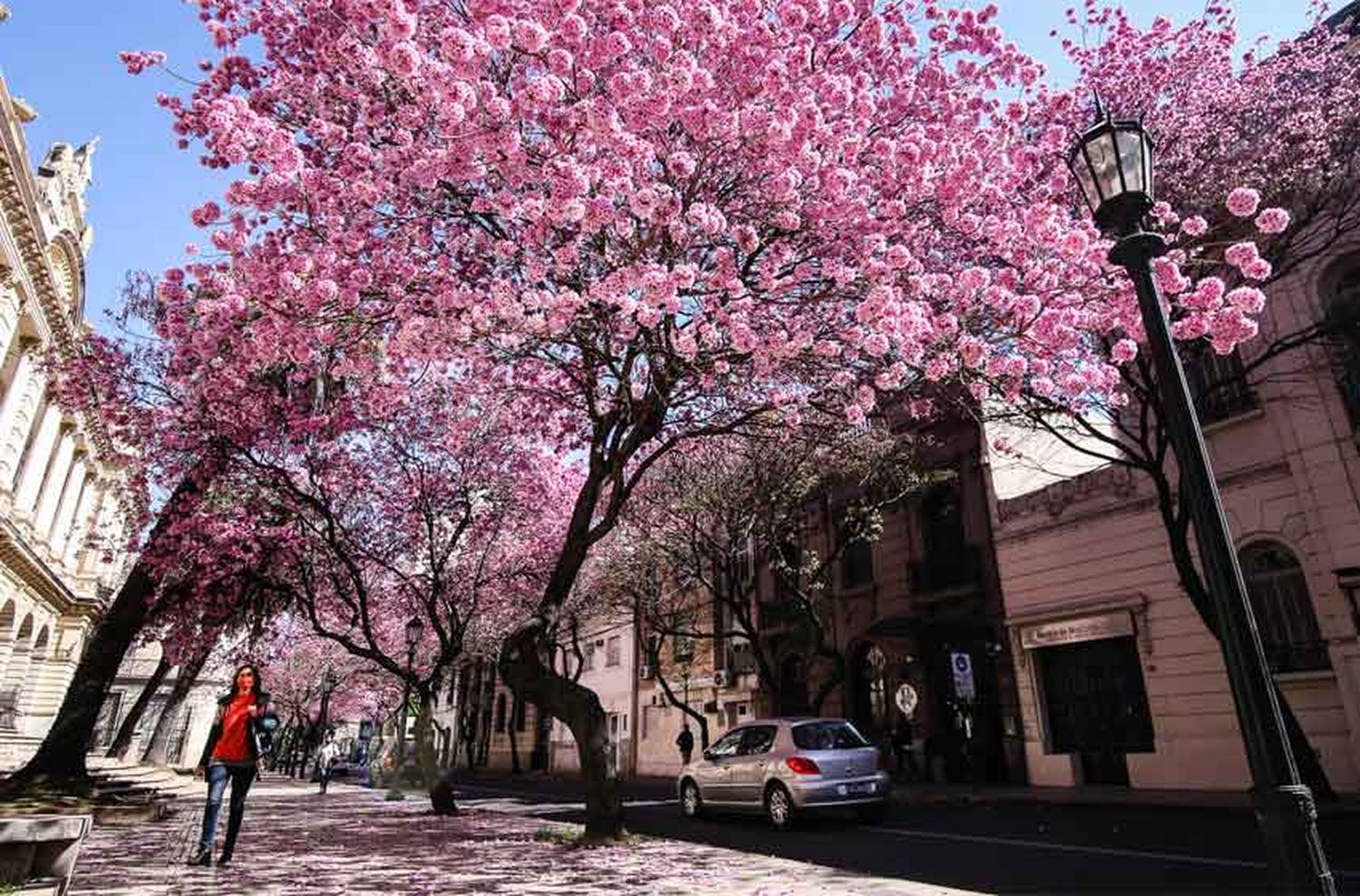 Clima en Rosario: sábado soleado con calor pero este domingo podría regresar la lluvia