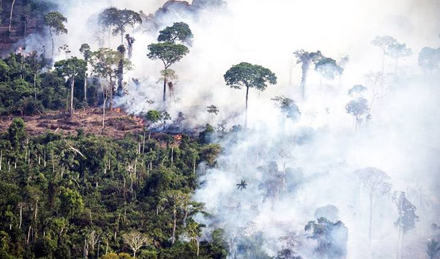 Nuevo récord en la deforestación de la Amazonia brasileña