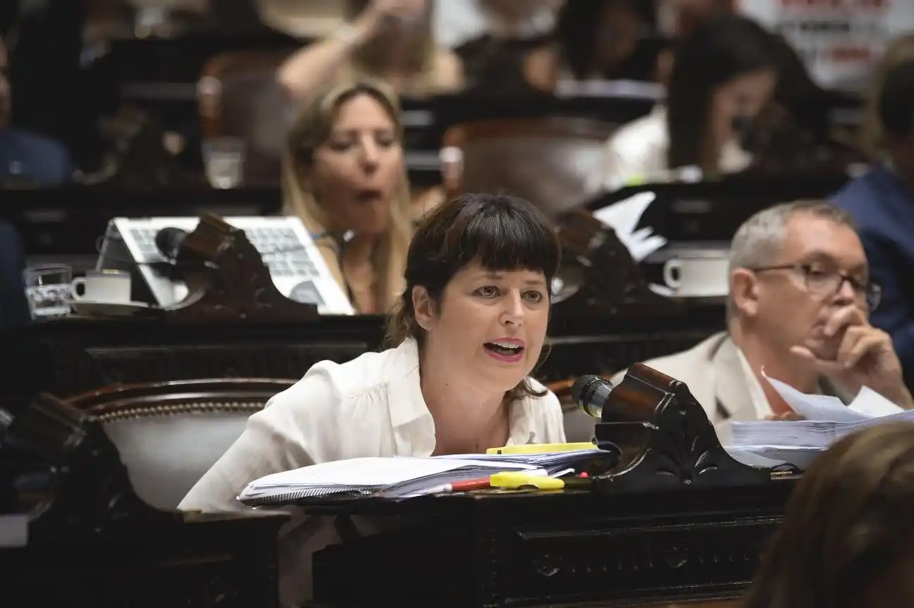 Gaillard: “Otorgándole a Milei facultades para disolver o intervenir organismos, le estaríamos dando facultades de Monarca”