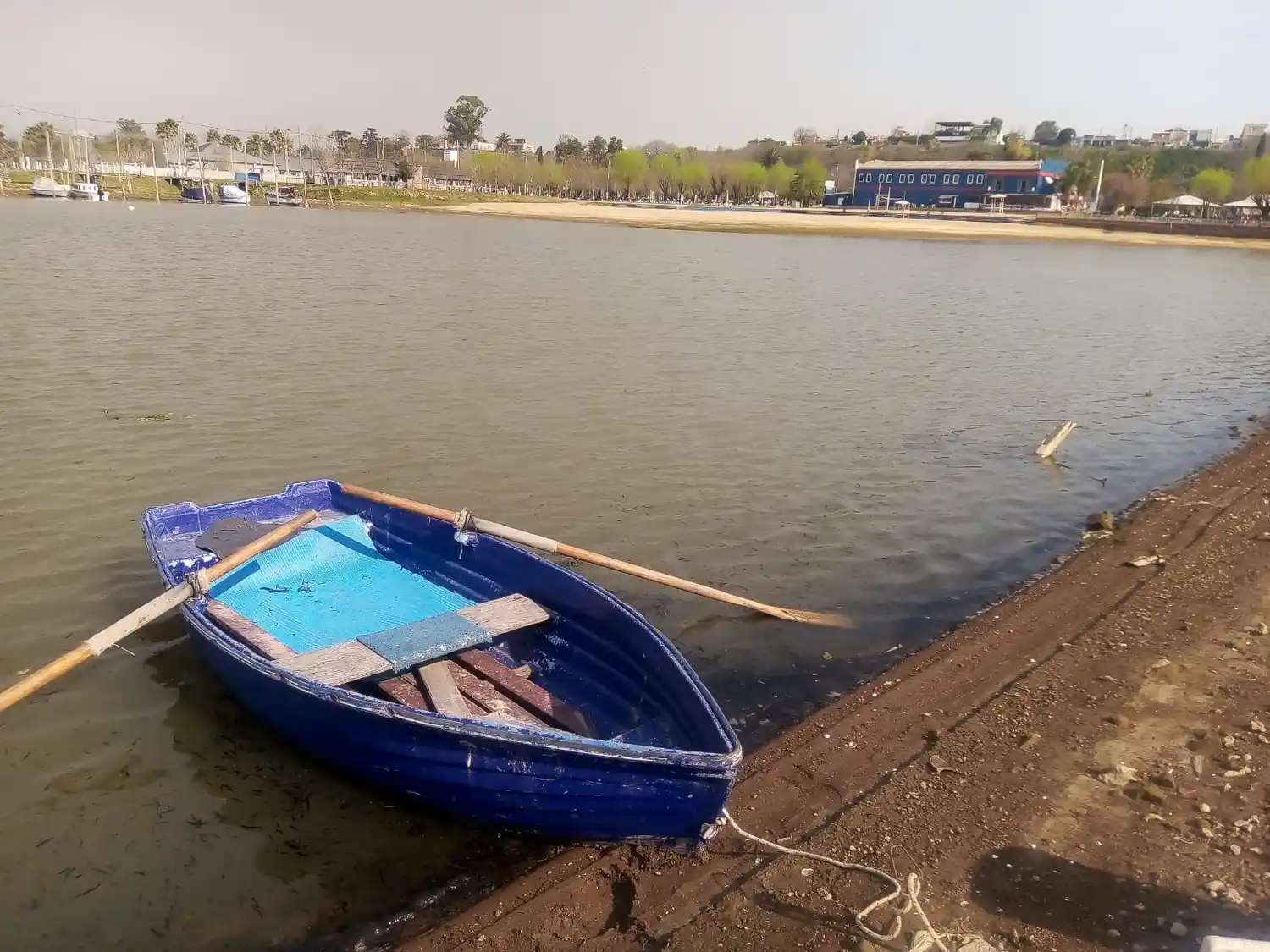 Una postal triste: las cenizas en el río