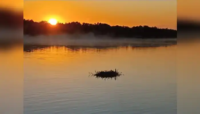 Un amanecer sampedrino