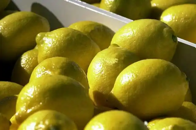 La participación del productor en los precios continúa en baja, según CAME