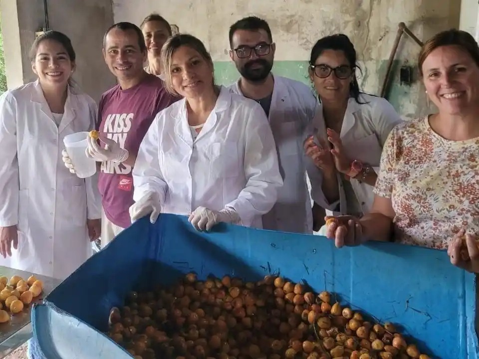 Científicos de la ciudad lograron que el Yatay sea incorporado al Código Alimentario Argentino