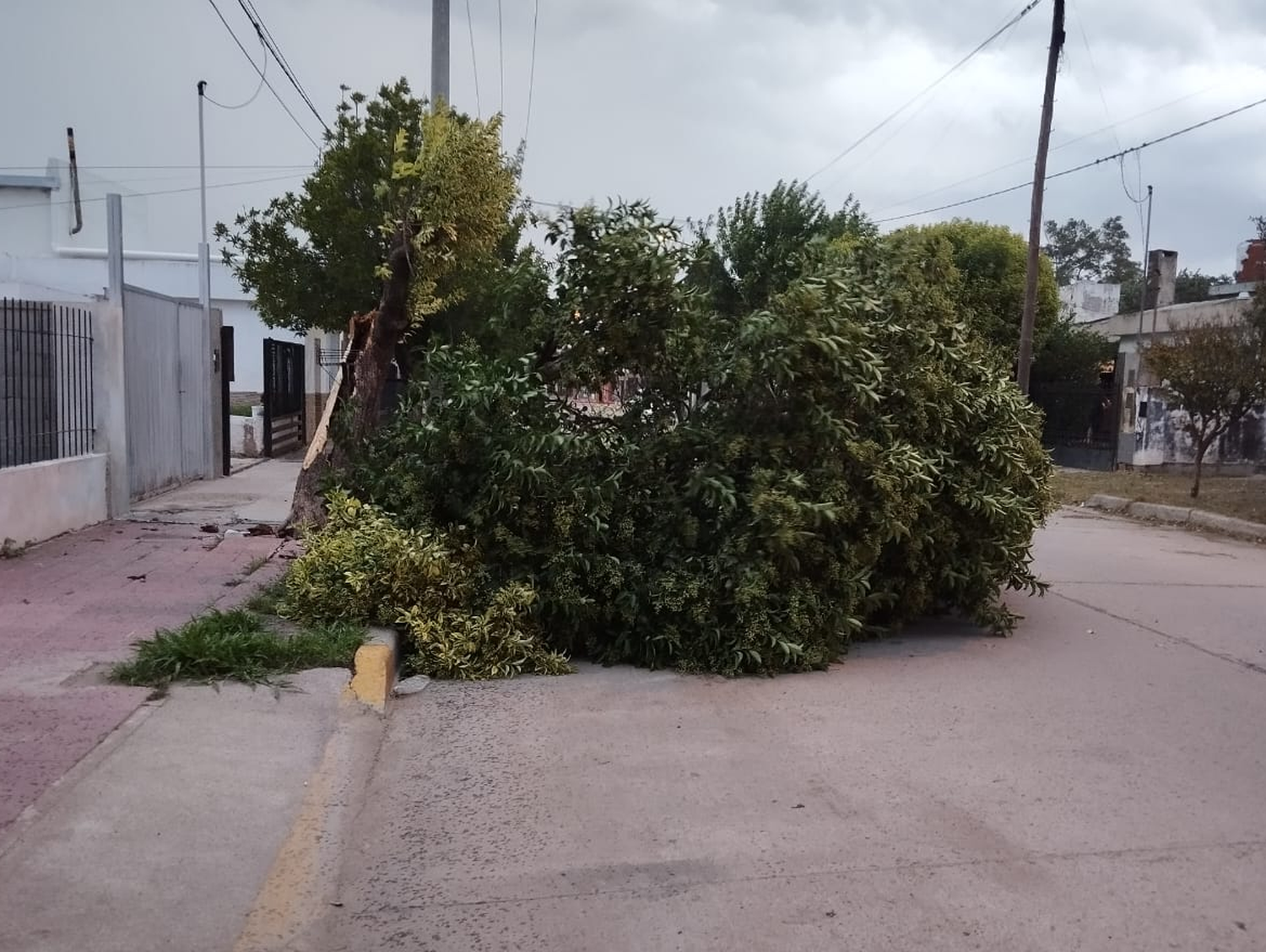 Tormenta en Arroyito