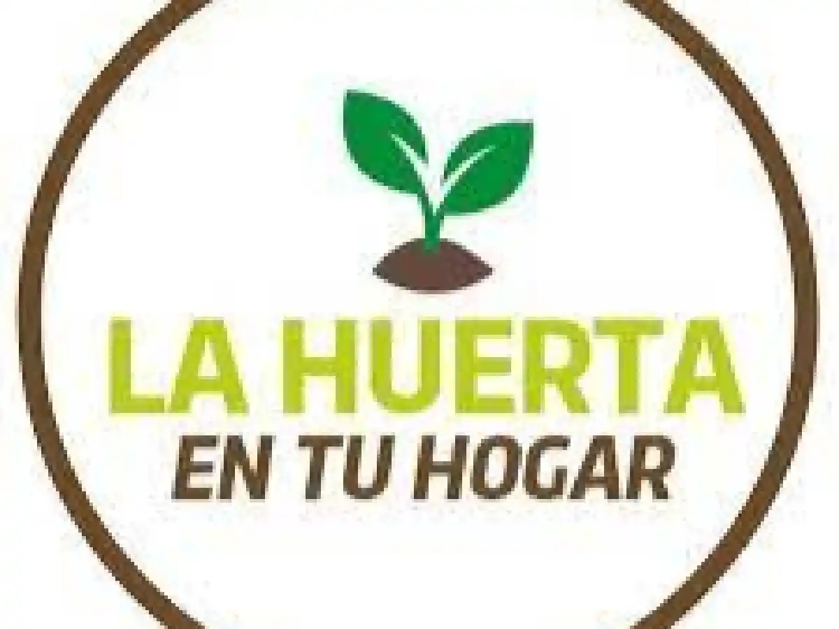 Así funciona el programa “La Huerta en tu Hogar” en San Francisco