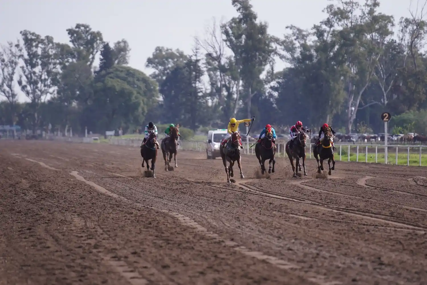Jornada de Turf en el "Boero".