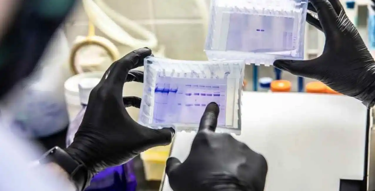 La UNL y el CONICET avanzan en el desarrollo de la vacuna contra el Covid-19