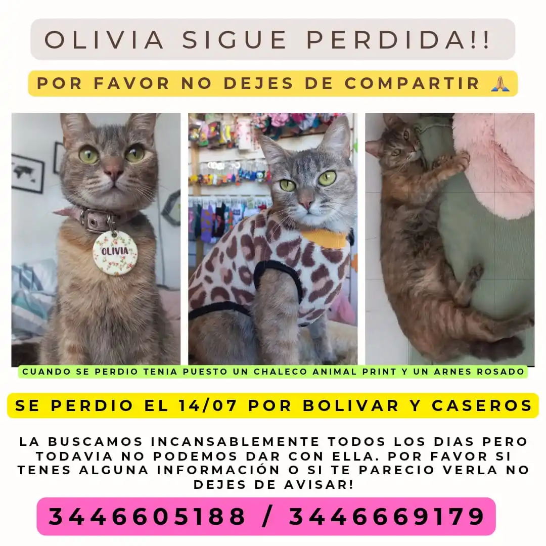 VICTORIA Y OLIVIA - 3