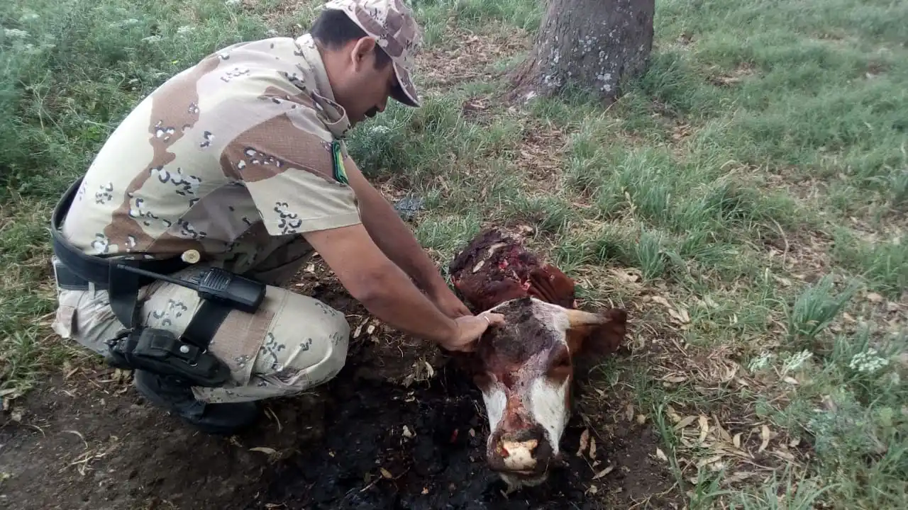 Solanas pidió ir por la intendencia en la inauguración de Unidad Ciudadana