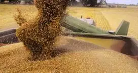 Los datos del USDA resultaron bajistas con más toneladas en stock
