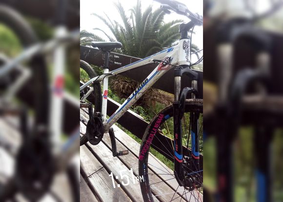 Buscan bicicleta robada: cámaras de seguridad filmaron a los delincuentes