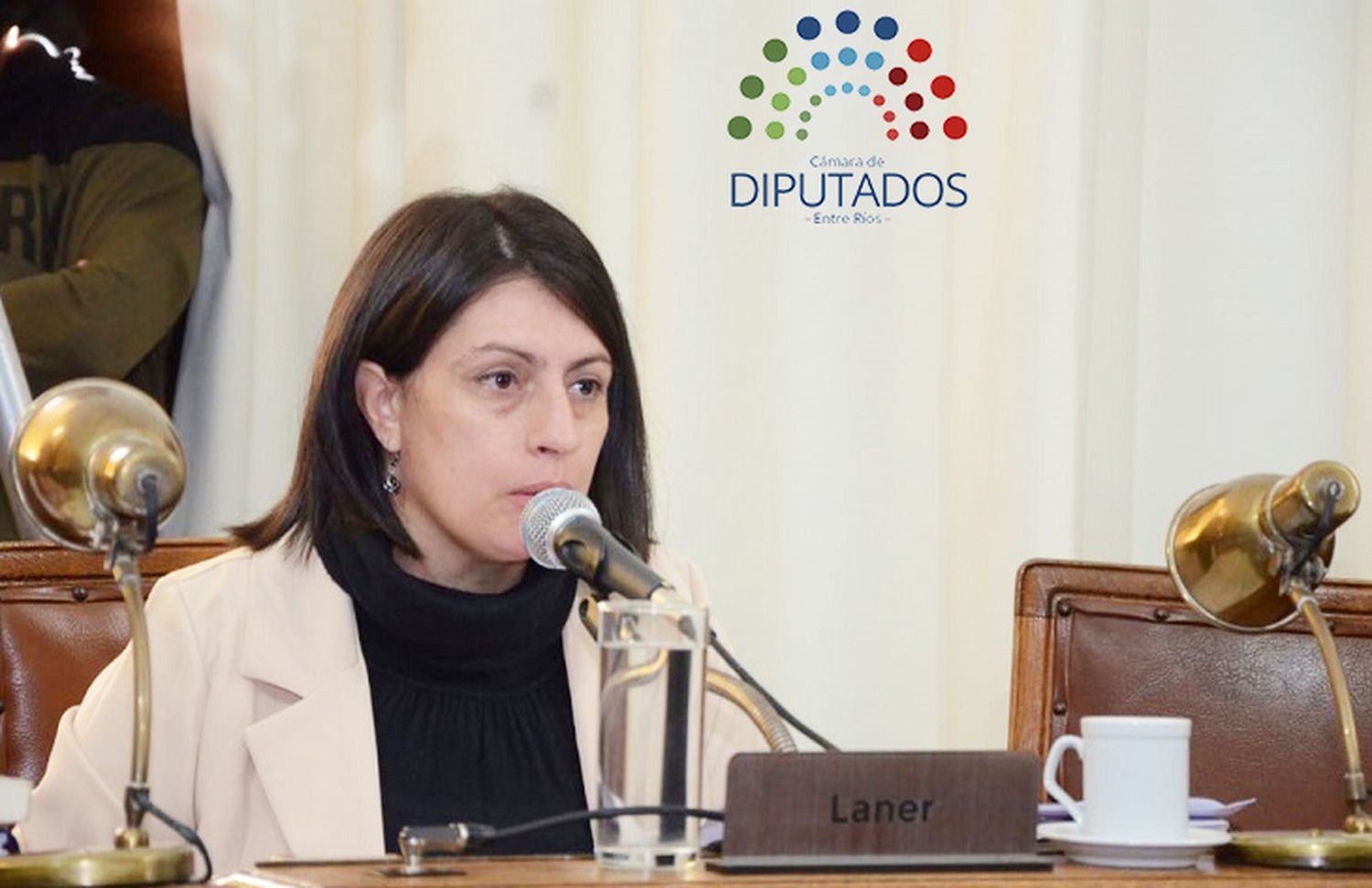 La diputada Laner describió los temas que trabajará en la gestión