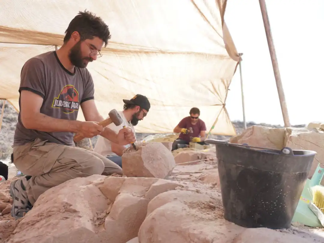 El equipo de paleontólogos del Conicet mostrará en vivo cómo es el trabajo que desarrollan en la Patagonia. (Foto: cortesía equipo del Lacev)