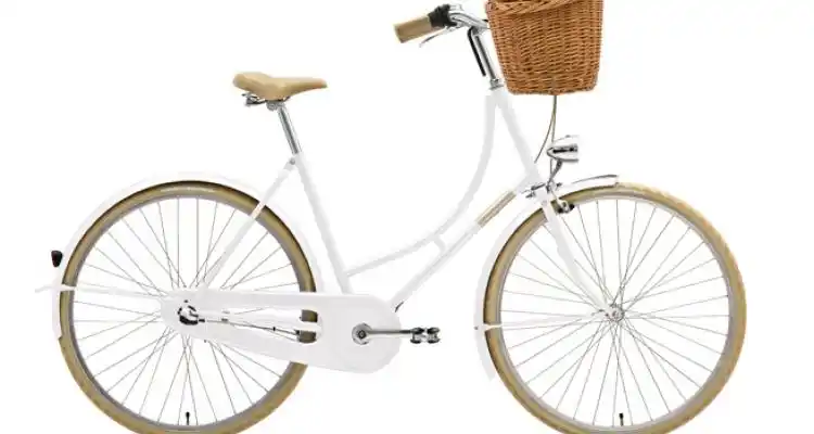 Robó una bicicleta y lo aprehendieron