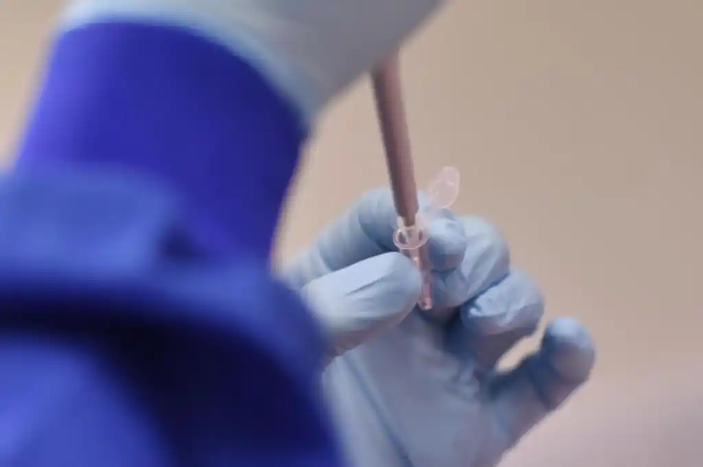 Se probarán “dos o tres vacunas en la Argentina” contra el coronavirus dijo Gollan