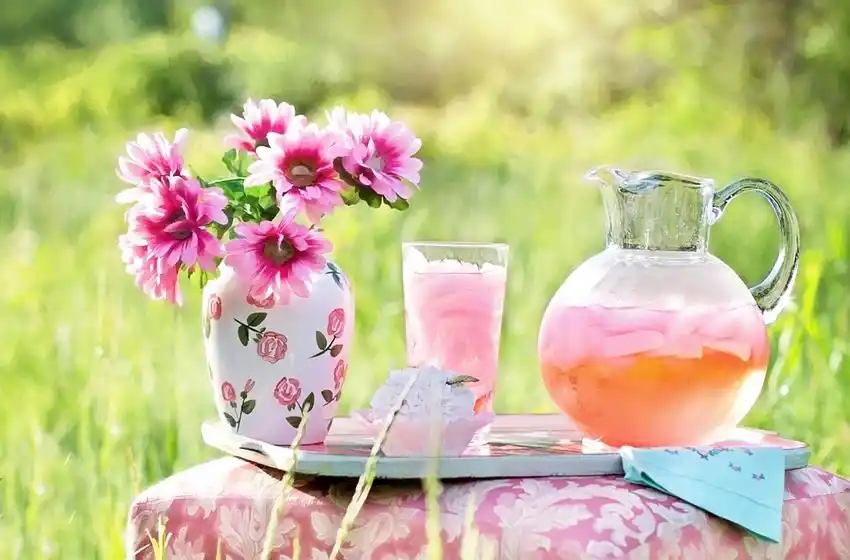 Tragos con Yerba mate