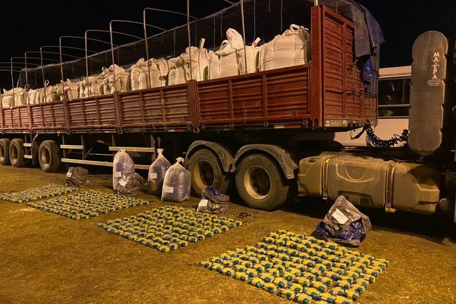 Gendarmería decomisó 167 kilos de hojas de coca que eran transportados en un camión