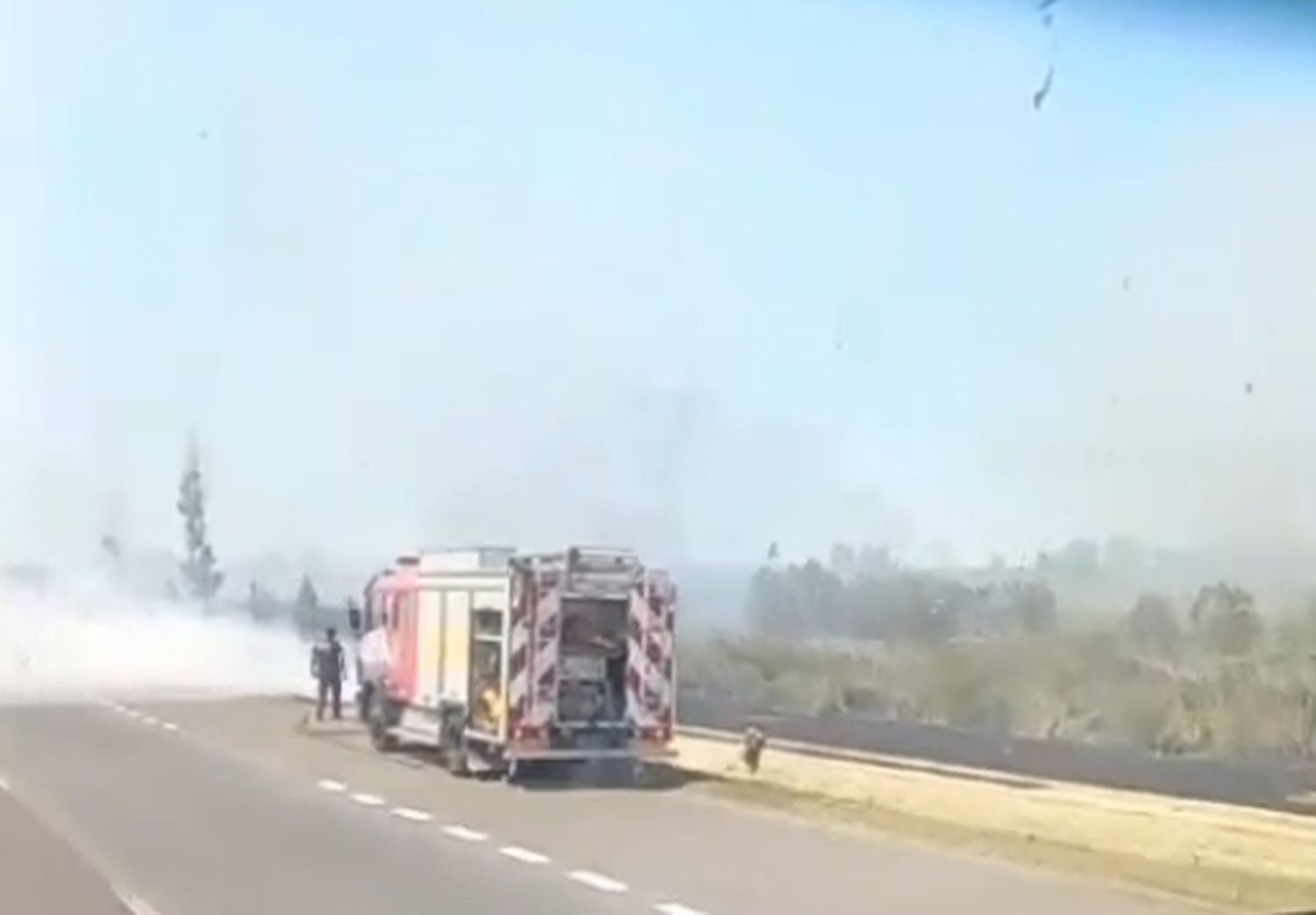 Visión reducida y tránsito asistido en la Isla Talavera por un incendio forestal entre los puentes de Zárate-Brazo Largo