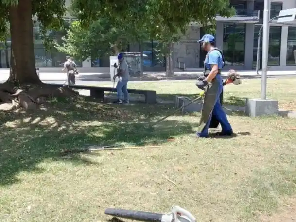 El municipio llevará a cabo tareas de desmalezado en todas las zonas de la ciudad