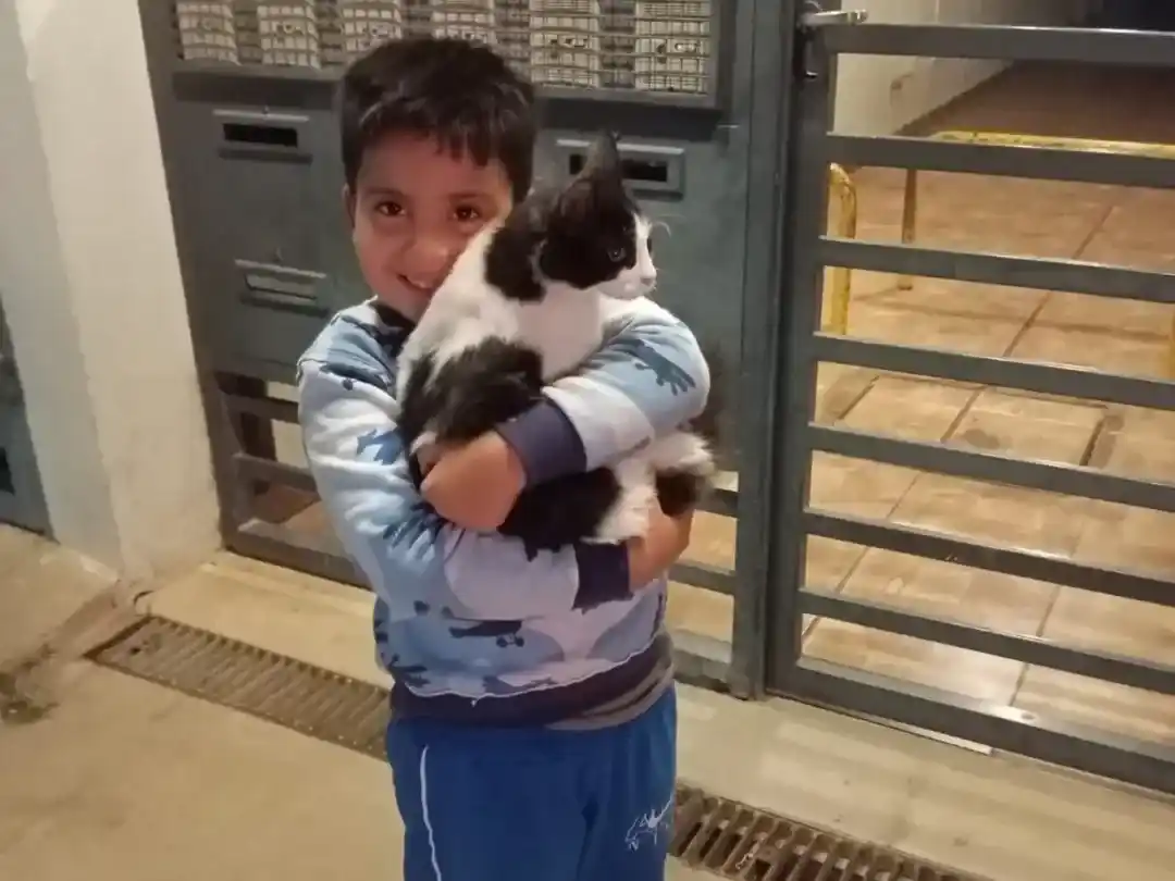 El niño celebra feliz el reencuentro con su gato tras el rescate de los bomberos.
