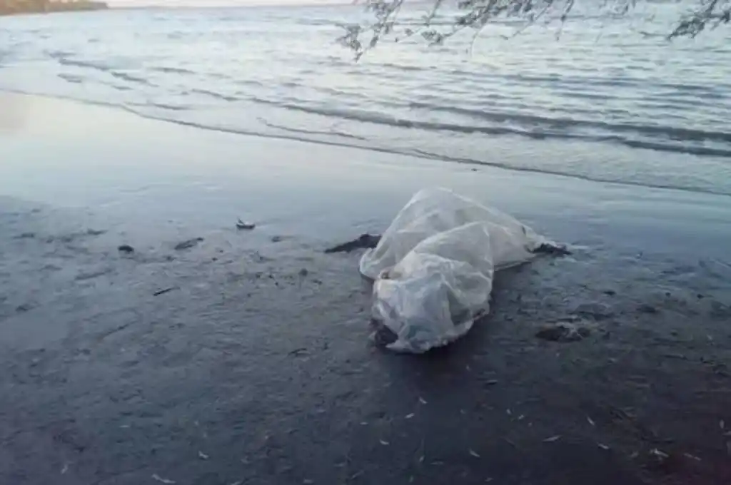 El cuerpo del hombre fue encontrado en una zona en la que está prohibido bañarse.