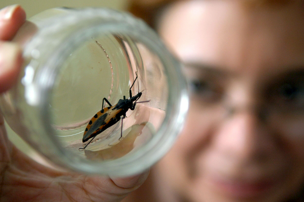 Santa Fe conmemora el Día Mundial de la Enfermedad de Chagas