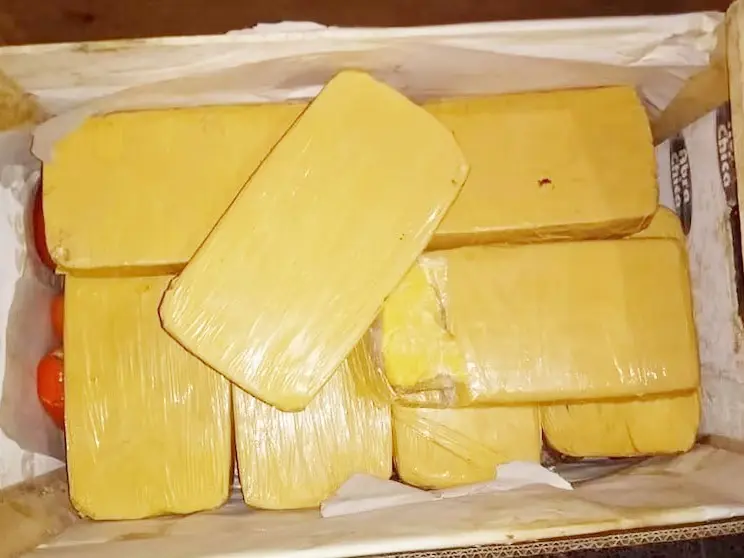 Reemplazaron la cocaína que iba a ser quemada por un ácido que vale $10 mil el kilo