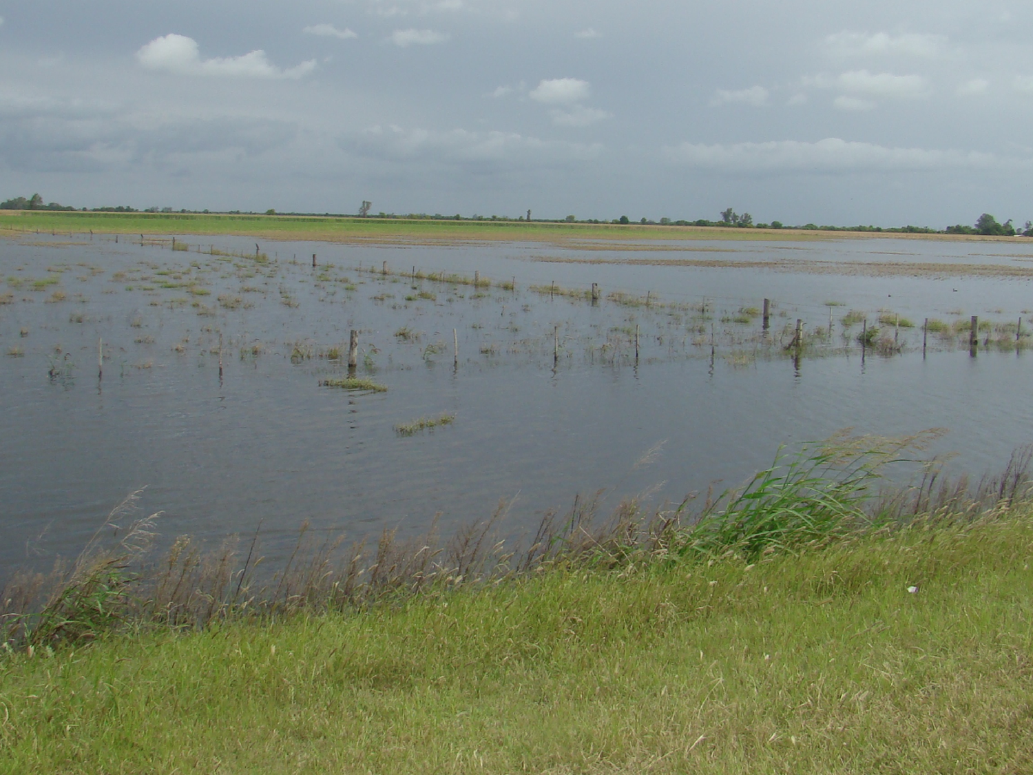 Prorrogan la emergencia agropecuaria para varias zonas de Córdoba 