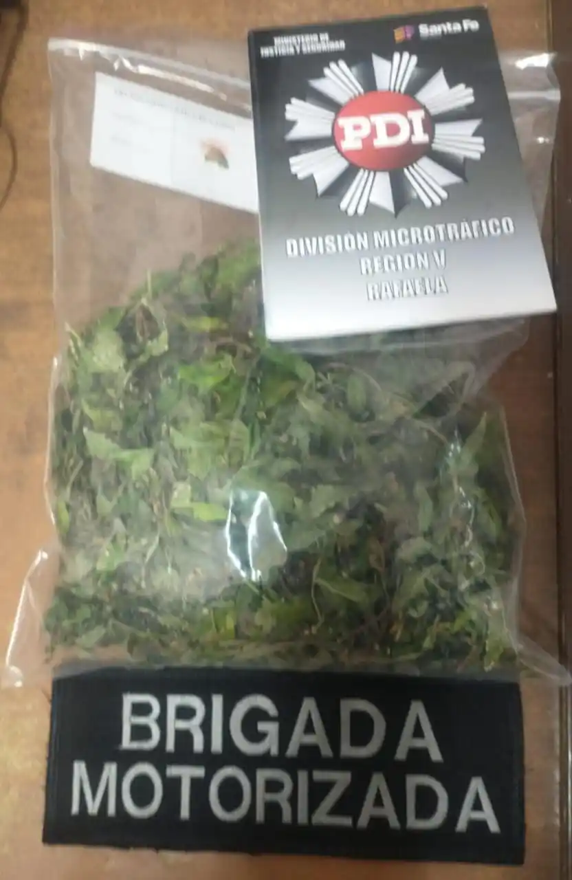 droga secuestrada alvear 700 rafalea