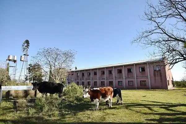 La Municipalidad montó un nuevo Centro de Evacuados y habilitó el Centro de Convenciones para recibir donaciones