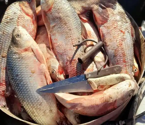 No tenían que comer en Semana Santa y por eso se llevaban más de 650 ejemplares de distintos pescados