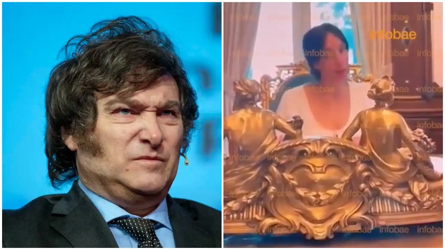 Javier Milei se refirió al nuevo video de Tamara Pettinato.