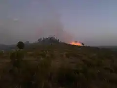 Se incendió otro cerro y Bomberos tuvo más de 60 intervenciones en enero y 35 en lo que va de febrero