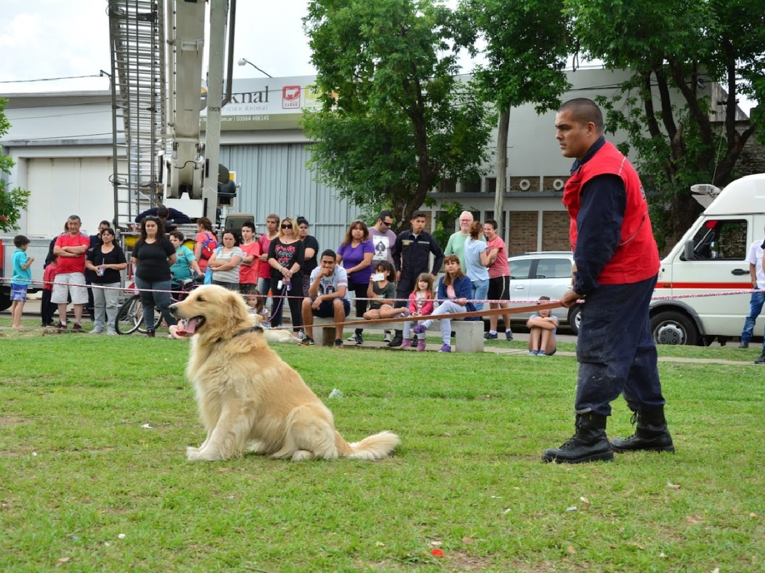 Triste noticia: murió Nilo, histórico perro de los bomberos