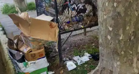 #Solucionado Basura y vergüenza