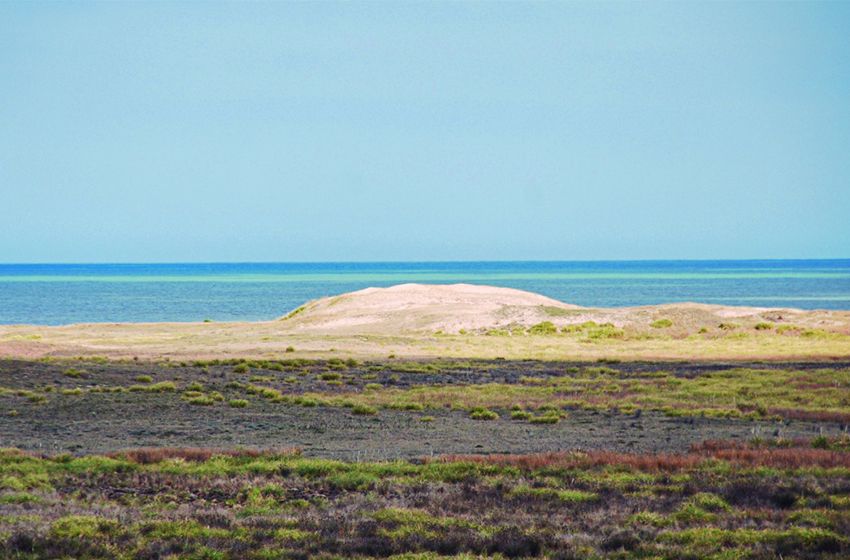 Paredi: "Soy el primer defensor de que CELPA se transforme en Parque Nacional y sea un territorio dedicado al medio ambiente"