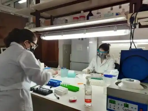Proyectos para mitigar la pandemia
