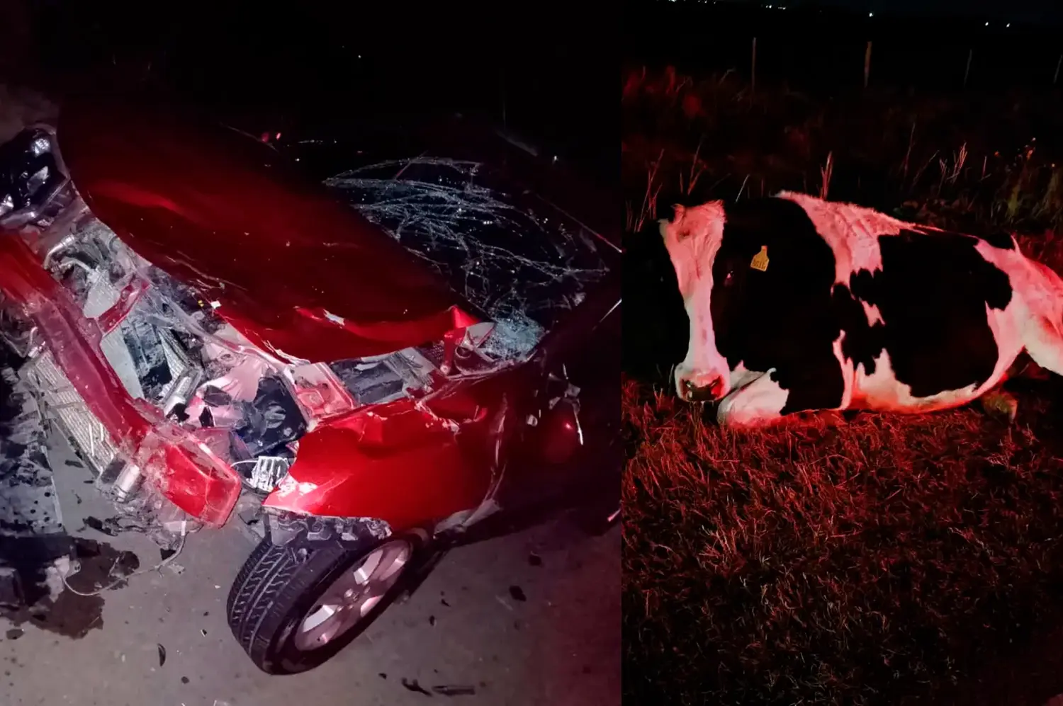 Una mujer resultó lesionada tras embestir a un vacuno con una camioneta en Morteros