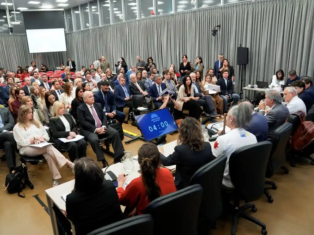 Fueron habilitados para exponer 444 personas durante las audiencias por la Ley de Glaciares, pero se habían anotado 100 mil.