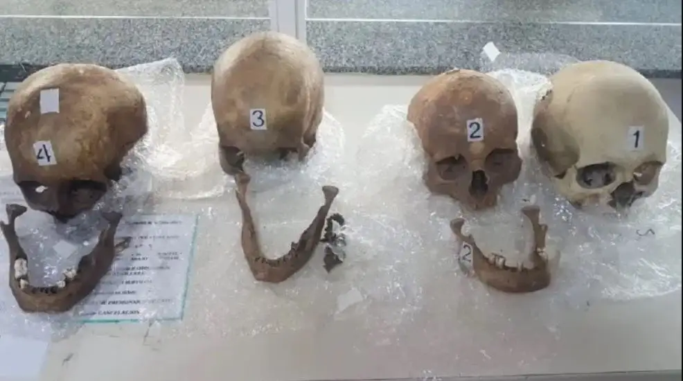Macabro secuestro de la Aduana: encontraron cuatro calaveras humanas en una valija