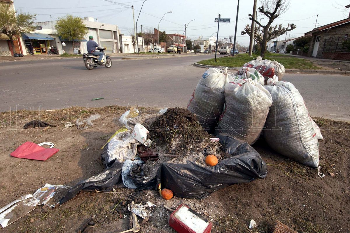 "La situación de los microbasurales en la ciudad es vergonzosa"