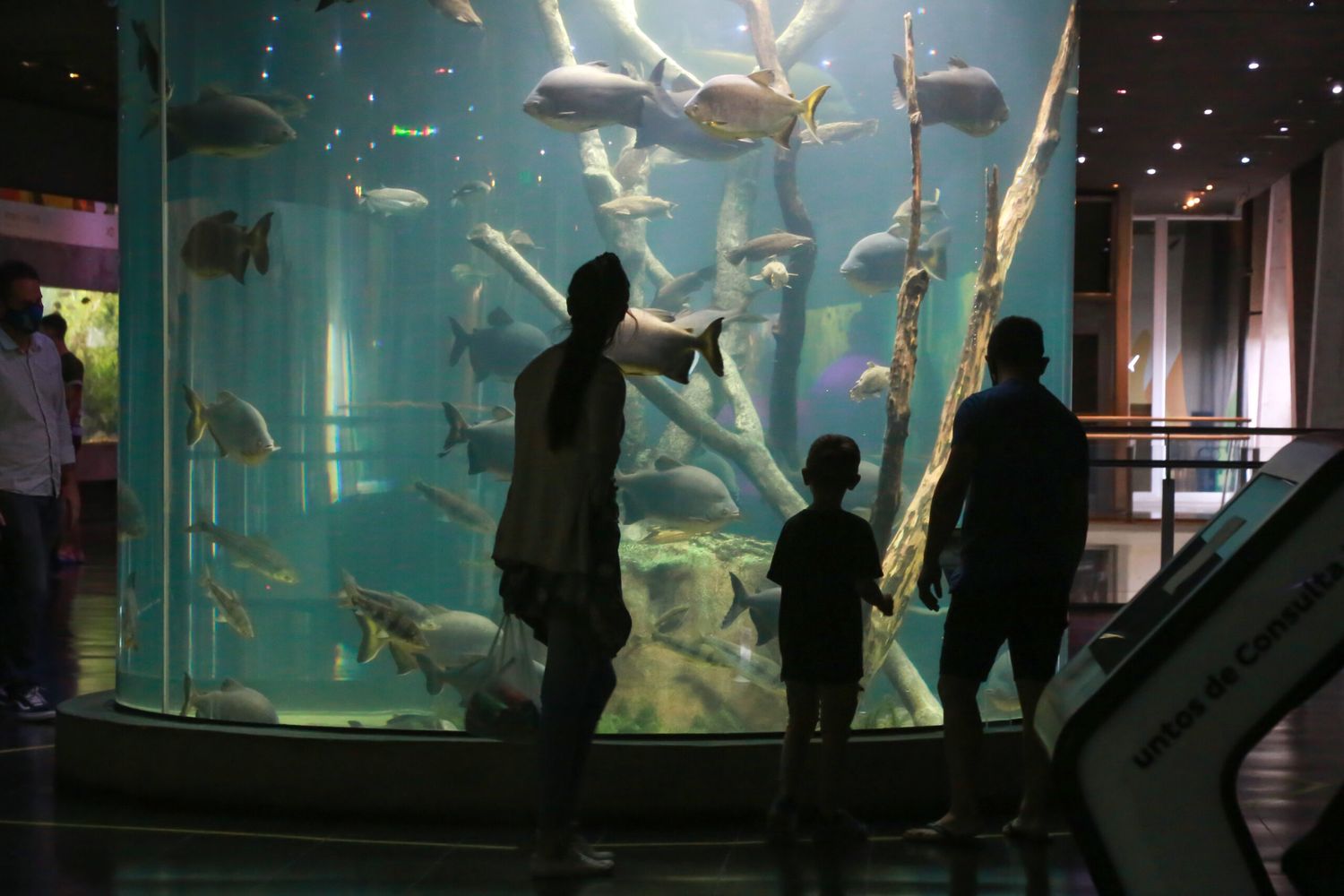 El Acuario del Río Paraná extiende sus días y horarios de visitas