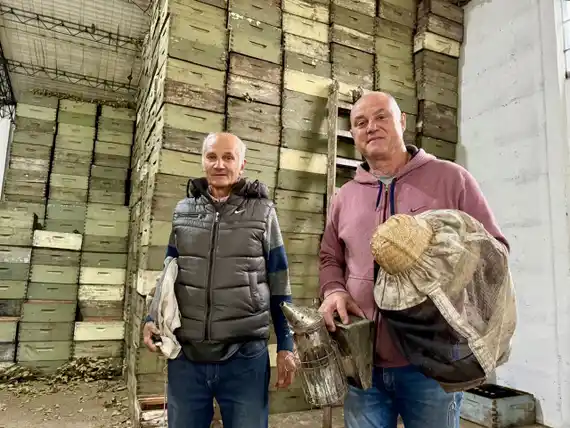 Los “Caza Enjambres”: el grupo de apicultores de Tandil que brinda ayuda ante la aparición de abejas