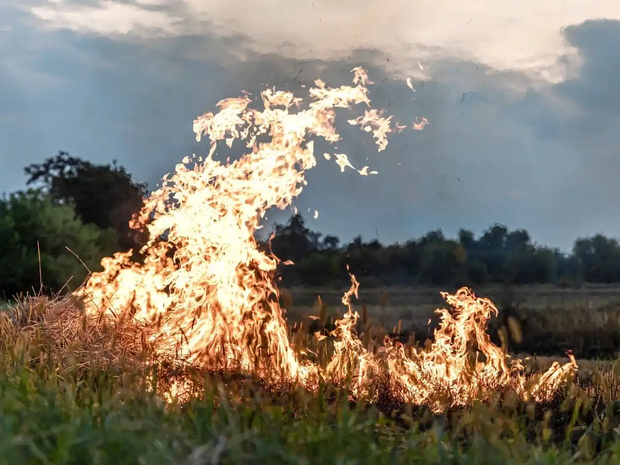 FARER alerta sobre los riesgos de incendios rurales ante la sequía