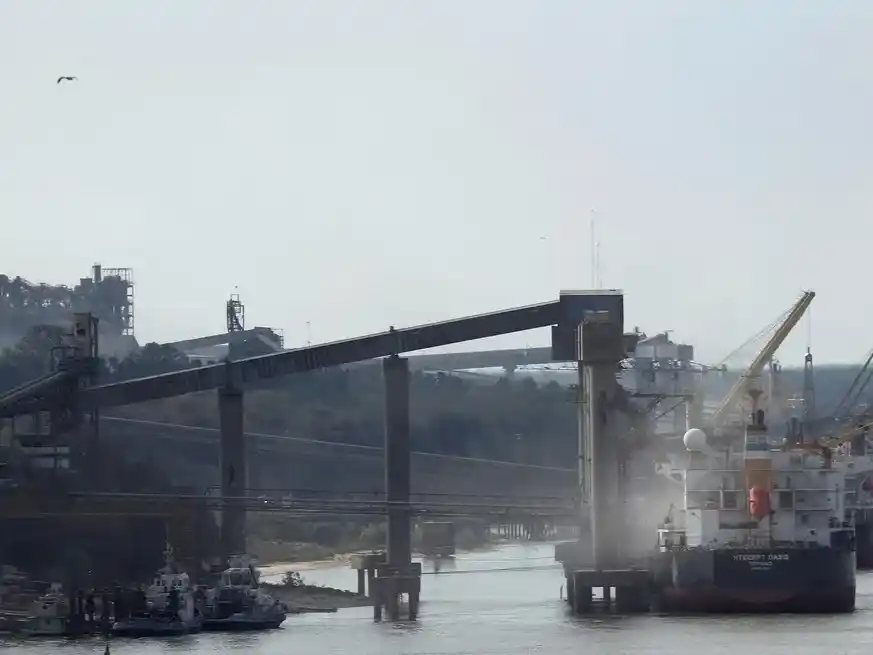 El volumen de soja industrializada se ubicaría en la campaña 2024/25 en torno a los 41,5 Mt.