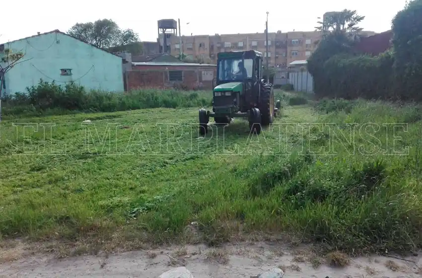 El primer paso para combatir la inseguridad: cortaron los altos pastos del barrio Gabriel Etchepare