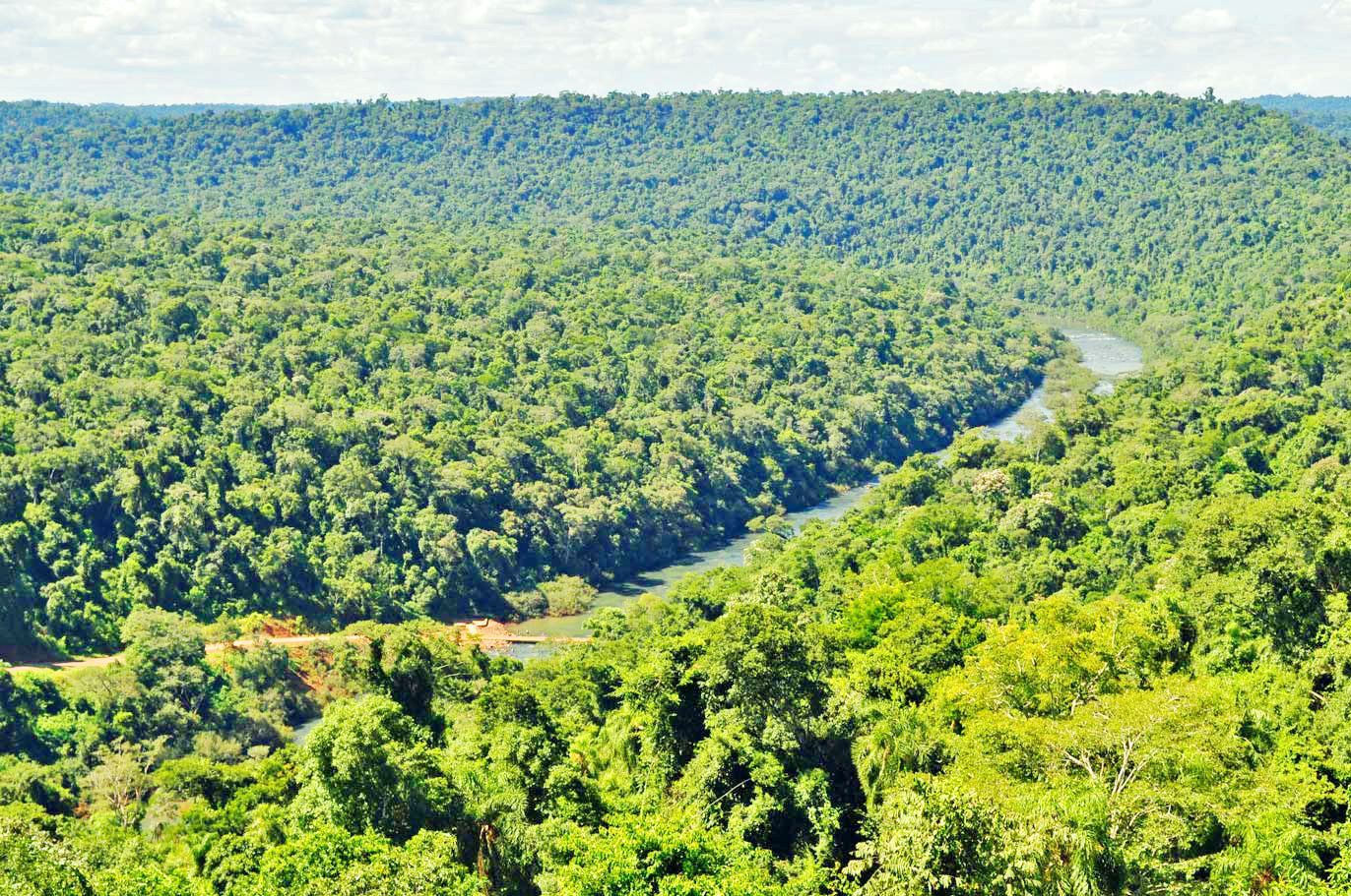 Vida Silvestre y ArgenINTA inician consultoría para la restauración de paisajes forestales de Argentina